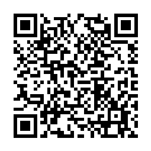 就算那些英国人全是从sas和sbs退役的老兵也是枉然二维码生成