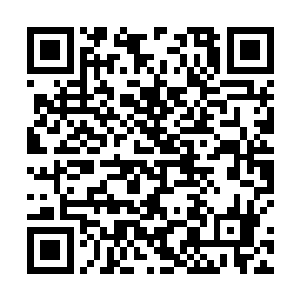 就算马里奥在意大利是如此尊贵的人当面向夏云杰道歉二维码生成