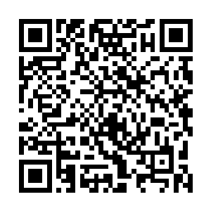 就能令服用者纵然处于油尽灯枯之时亦能在数息时间之内二维码生成