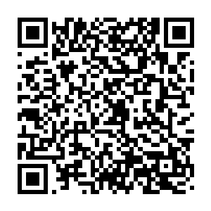 就能创造出一种全新的灵术形态……而通过改变方程结构中的能量属性二维码生成