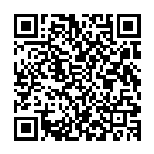 就能将秘社一手培养成如此规模巨大而又深藏不露的强大组织二维码生成