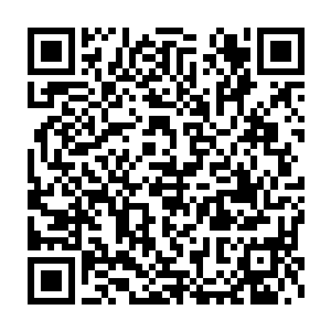 就能想到遥远记忆中大学校园里面穿着白裙子抱着书本的某个清丽身影二维码生成