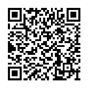 就能感受到这片树叶里面蕴含的强大的生命气息二维码生成