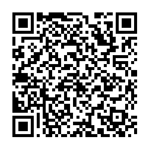 就能感觉到空气中那些锐利气息都在向着叶尊盘坐的地方汇聚而去二维码生成