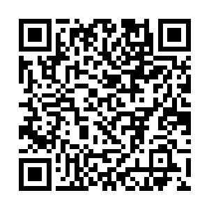 就能把自己这个先天一层高手打的没有还手之力的人二维码生成