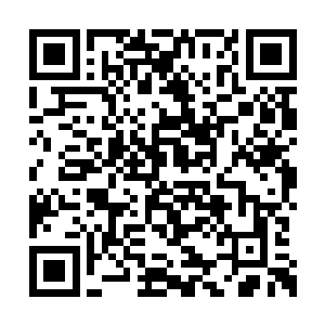 就能源源不断生产战斗傀儡乃至星海战舰的大军二维码生成