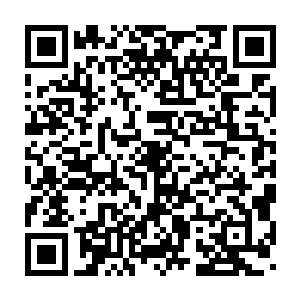 就能看到她的手上随着谢柔嘉的提笔念字不断的有浮现一片片刺红二维码生成