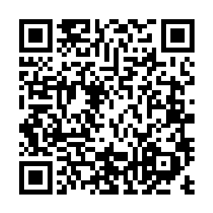 就能看到远处的空中不时的就有马车或者一些仙禽异兽飞过二维码生成