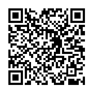 就至少吃了二十颗核弹……看看你脚下地面之外的地方二维码生成