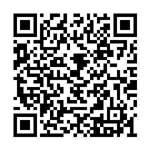 就被各怀鬼胎的四大家族和万界商盟死死纠缠住二维码生成