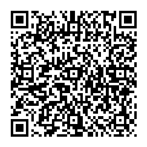 就被在雄狮要塞中的所有骑士们各自以各自的方式传遍了太夏各个豪门与远离太夏的各个次大陆和西方大陆二维码生成