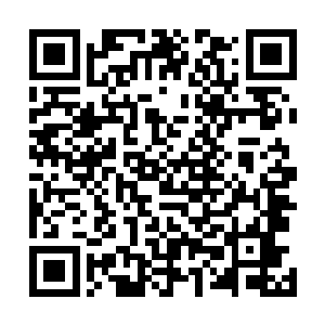 就被天上的翼魔或者是驱赶着人群的后面的魔族战士击杀二维码生成
