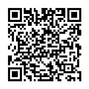 就被密宗奉为龙象法王……居然连龙象菩提金身都练成了二维码生成