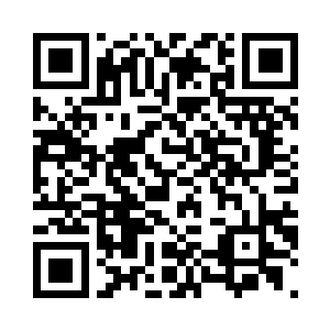 就被蚊虫在手上脖颈上叮了好记下了二维码生成