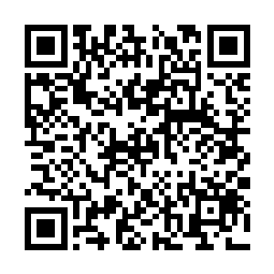 就要将从大阵中飞出的蓝阳羽士重新收入大阵之中二维码生成