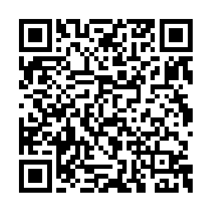 就要把柔嘉小姐在皇帝跟前得来的好都消磨光了二维码生成