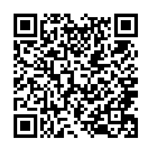 就要趁现在她还没有恢复原先巅峰的真仙境对付她二维码生成