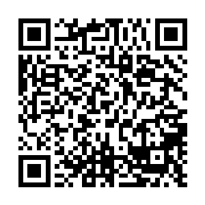就见一个身影以优雅而从容的姿态穿过重重战士组成的防线二维码生成