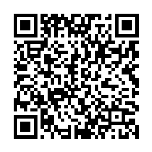 就见一条仅仅只有一指长的墨绿色小蛇从病经中钻出二维码生成