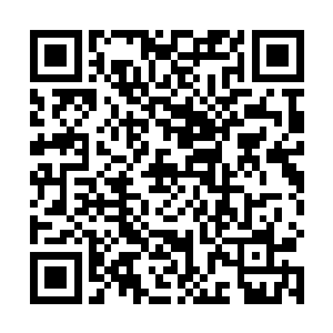 就见到第一个傀儡不知道什么时候已经到了大阵的边缘二维码生成