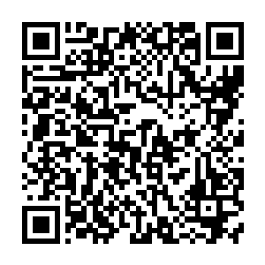 就见卢总手里捏着几条青绿色张着嘴吐着鲜红信子的小蛇估计是想朝我扔来的二维码生成