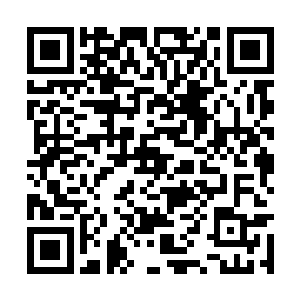 就见天空中突然密密麻麻现出无数白色骨骸的影子二维码生成