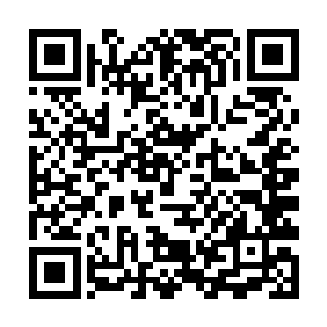 就见密密麻麻无数巨大触手如山峰般涌起向着他卷来二维码生成