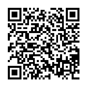 就见帝乾带着四脚黑蛇和一些帝族孩童兴奋地跑了过来二维码生成