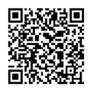 就见成片成片的紫星血魔在那里漫无目的的走着二维码生成