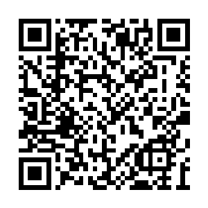 就见数百盔缨血红的甲骑已然奔雷掣电一般赶至二维码生成