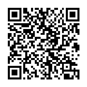 就见杨开不断地将刚才艾欧给他的那些材料丢进了紫虚鼎中二维码生成