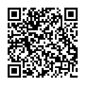 就见贝翼的六对贝壳表面的金光时而如太阳一般光辉耀眼二维码生成