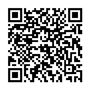 就让尼尔王和胡莲那边以为是我们强行抓走了苏门二维码生成