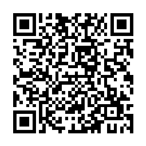 就让意大利军团负责后勤问题以及看管战俘什么的二维码生成