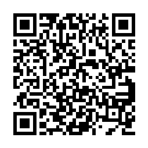 就证明我当初选择背离天辰圣盟的做法是争取的二维码生成