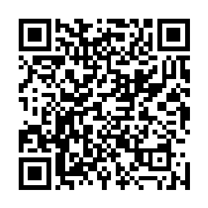 就说上个纪元就已经达到六阶无敌神皇巅峰的东皇天龙族长二维码生成