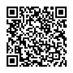 就说天堑城正在蛮荒之地寻找可以互利互助的大部落二维码生成