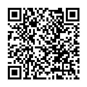 就说明了这里绝对有对木道人极为重要的东西存在二维码生成