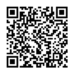 就越是会把我和他共同深爱着的联邦乃至整个文明拖入死地二维码生成