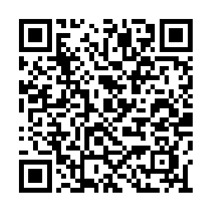 就越是能洞悉隐藏在修仙大道背后的黑暗和邪恶二维码生成