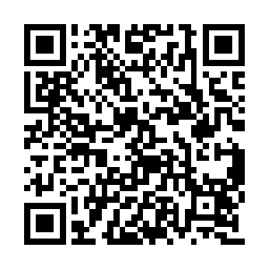 就足以令整个苍穹天宇之中任何的高手为之疯狂二维码生成