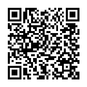 就足以形成了噱头成为这一场晚会最精彩和有吸引力的地方了二维码生成