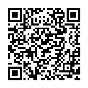 就跟徐凤年前段时间在酒楼听瘦猴儿那帮人胡吹海吹差不多德行二维码生成