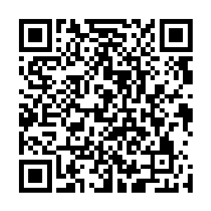 就近艾萨克城郊跟库尔德人的战斗都比和政府军更容易控制二维码生成