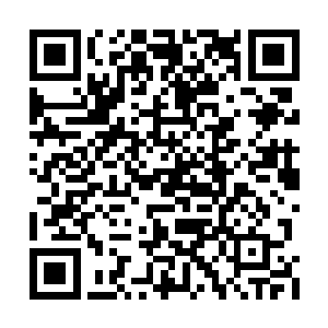 就这么一点点仿佛成为了他永远无法逾越的鸿沟二维码生成