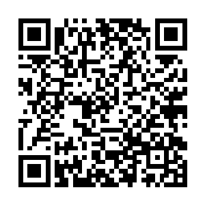 就这么眼睁睁的看着黑色蜘蛛的脑袋化作了一团血液二维码生成