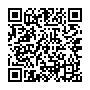 就这么被他和贪狼王两个联手如此轻易的灭杀了二维码生成