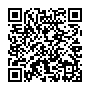 就这么轻飘飘的被挡住了……除了那么两声响之外二维码生成