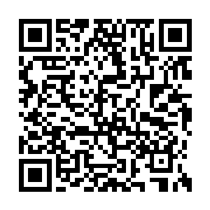 就这座城市内数十万没有来得及撤离的居民感染二维码生成