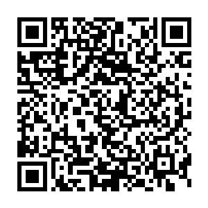 就这样凭借着铠甲他连续的度过第七第八两次天劫成为了一名八劫散仙二维码生成